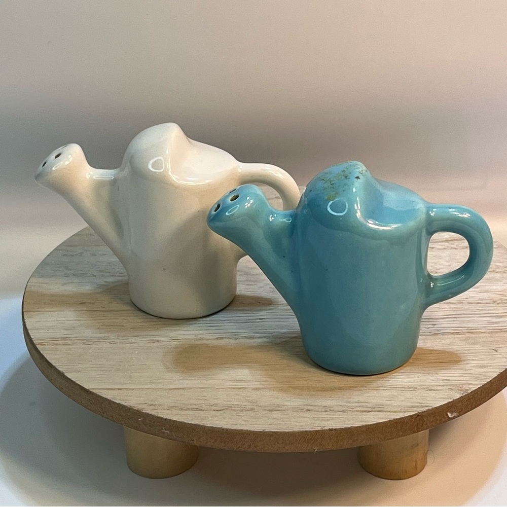 Salt and Pepper Shakers Set Miniature Watering Cans Blue White Ceramic